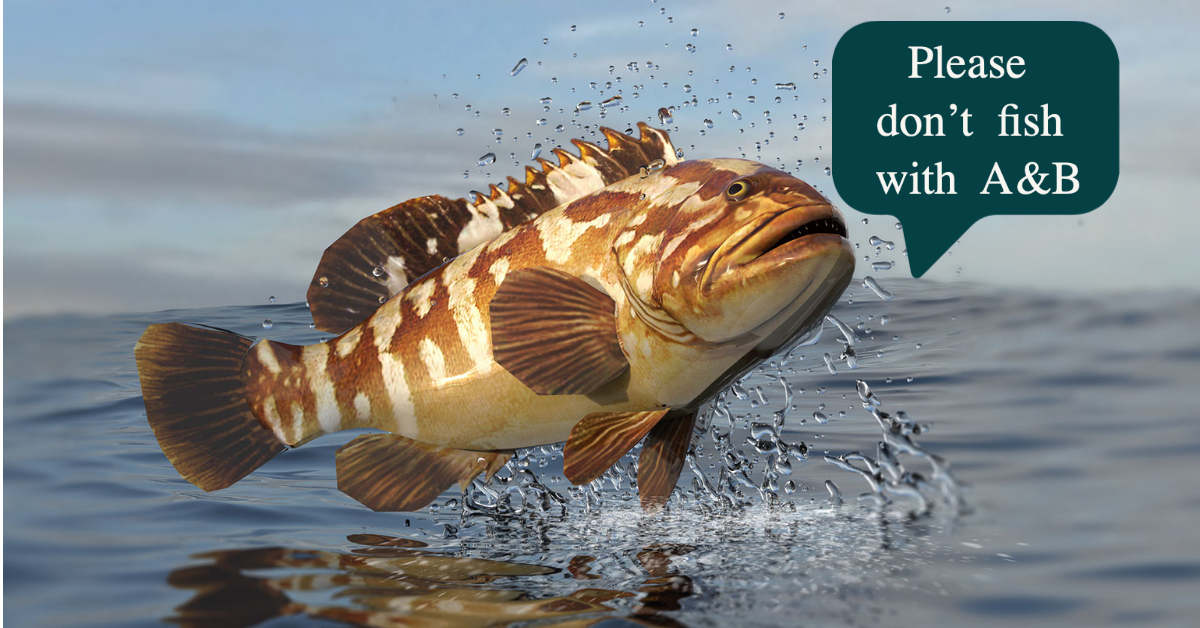 Grouper jumping out of water