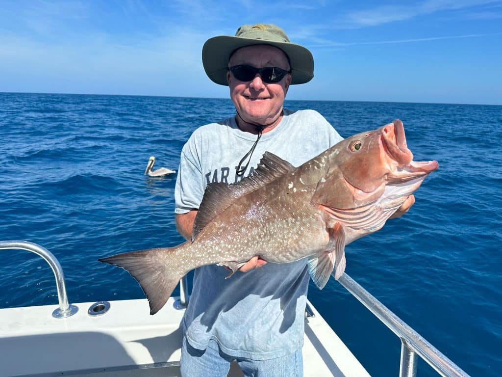 A man wearing sunglasses and a hat smiles while holding a large fish on a boat at sea, enjoying an exciting day with a Naples FL Deep Sea Fishing adventure. A pelican floats in the water behind him under a clear blue sky.