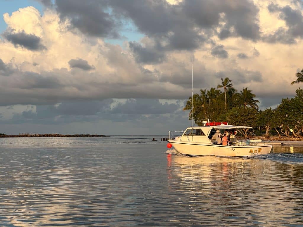 A small white boat with people on board, part of a Naples Fishing Charter, moves across calm water near a shoreline lined with palm trees, under a cloudy sky at sunset.
